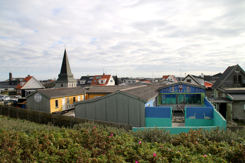 Шиповник морщинистый. Дом с ракушками Тюборён (Sneglehuset, Thyborøn), Дания. Фото 26 сент. 2021