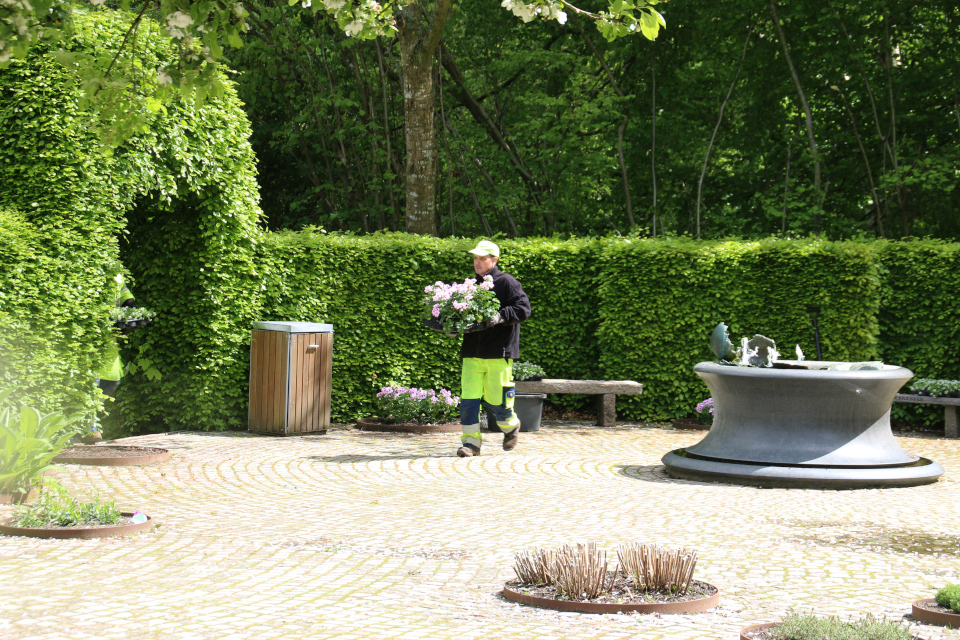 Садовник в парке Марселисборг. Фото 27 мая 2021, г. Орхус, Дания