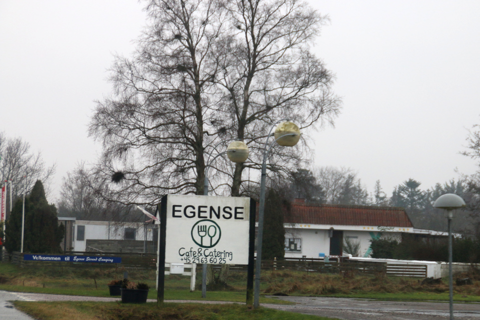 Кемпинг, Эгенсе (Egense), Лимфьорд, Дания. Фото 28 дек 2021