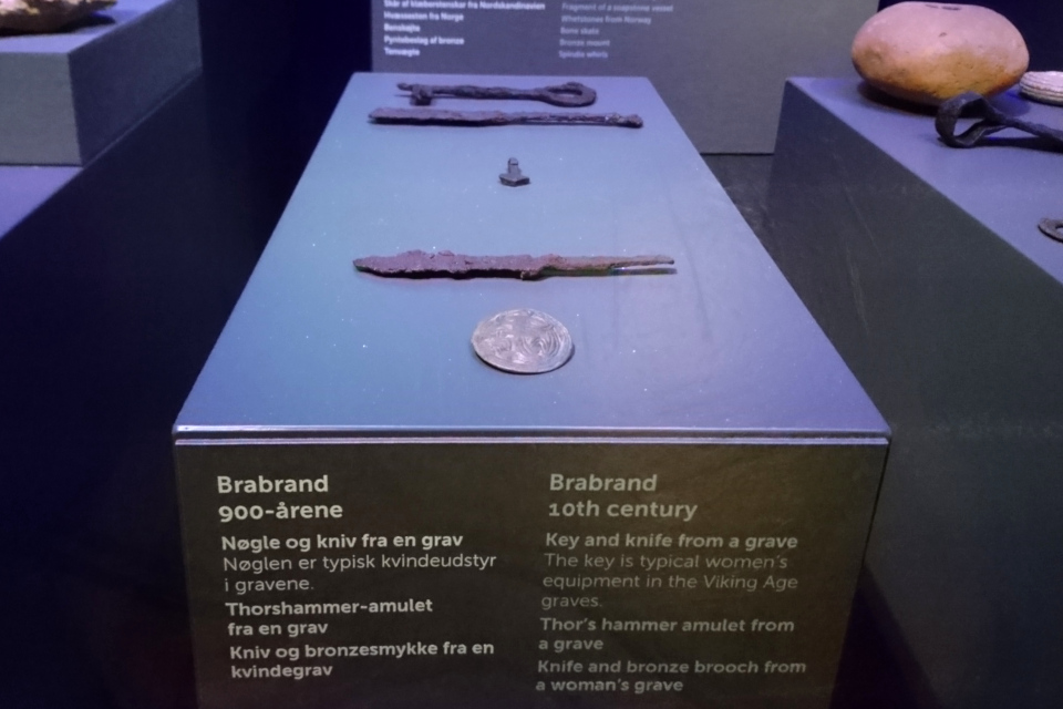 Брабранд. Викинги в Орхусе, музей Мосгорд, Дания. 29 янв. 2020