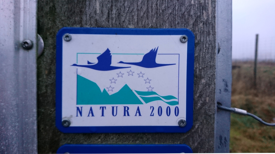 Natura 2000. Лилле Вилдмосе (Lille vildmose, Dokkedal), Дания. Фото 28 дек. 2021