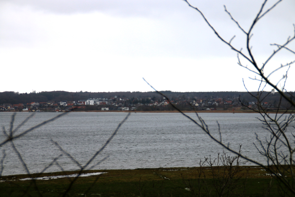 Вид на фьорд Мариагер и г. Хадсунд, Дания. Фото 4 февр. 2020