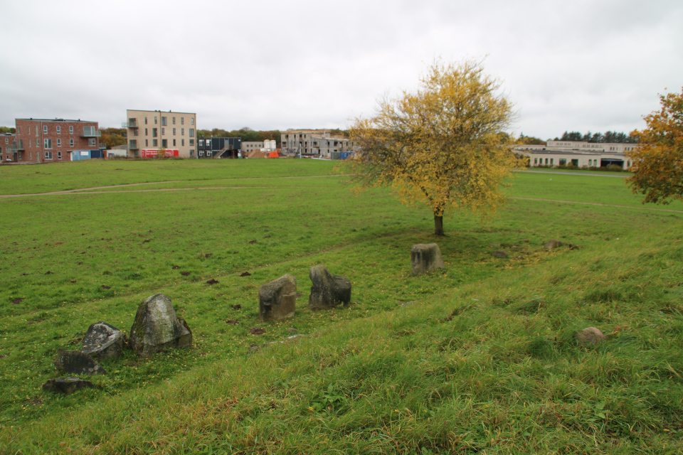 Длинный курган Бюгхольм (Langhøj Bygholm Nørremark), Хорсенс Дания. Фото 25 окт. 2020