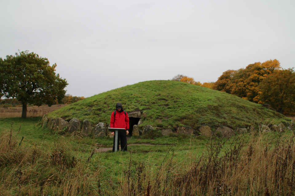 Коридорная гробница Грёнхой (Jættestuen Grønhøj), Хорсенс, Дания. Фото 25 окт. 2020