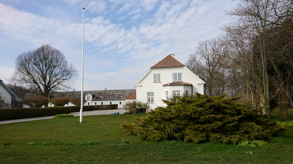 Можжевельник. Алрё (Alrø), Дания. 13 апр. 2022