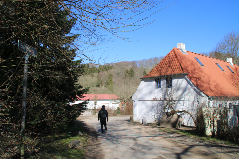 Конная ферма Мельница Бодил (Bodil Mølle Stutteri), Хёрнинг, Дания. Фото 1 апр. 2022
