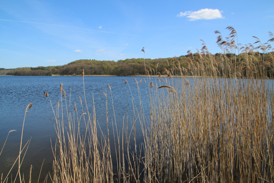 Озеро Равнсё (Ravnsø), Дания. 28 апр. 2022