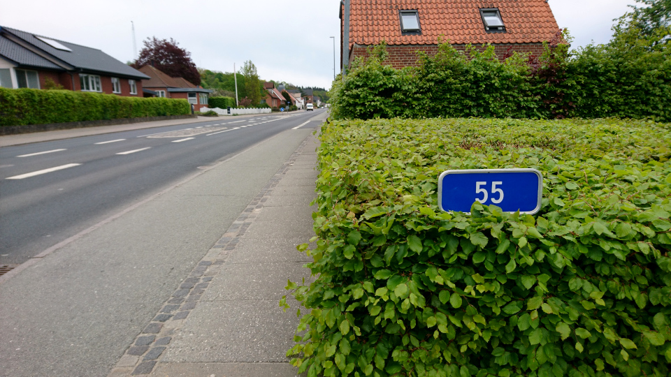 Буковая ограда. Рюомгорд (Ryomgård), Дания. 16 мая 2022