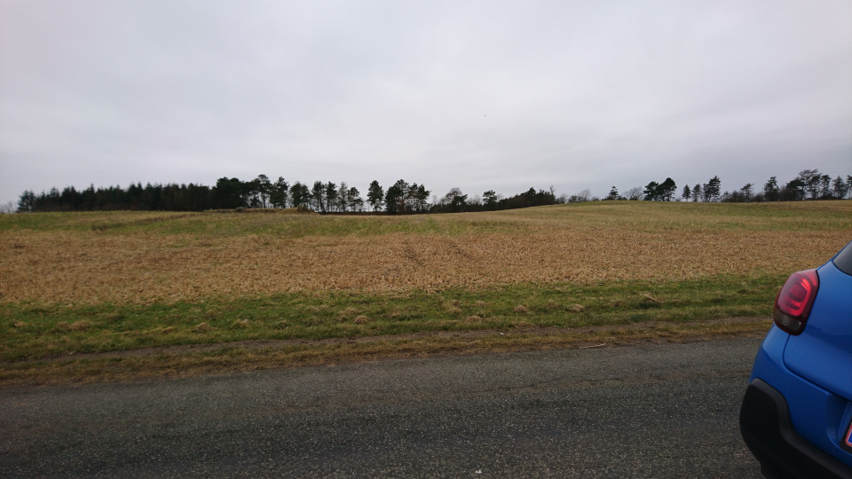 Удлиненный дольмен Илдберггорд, Колинд, Дания. 24 фев. 2021