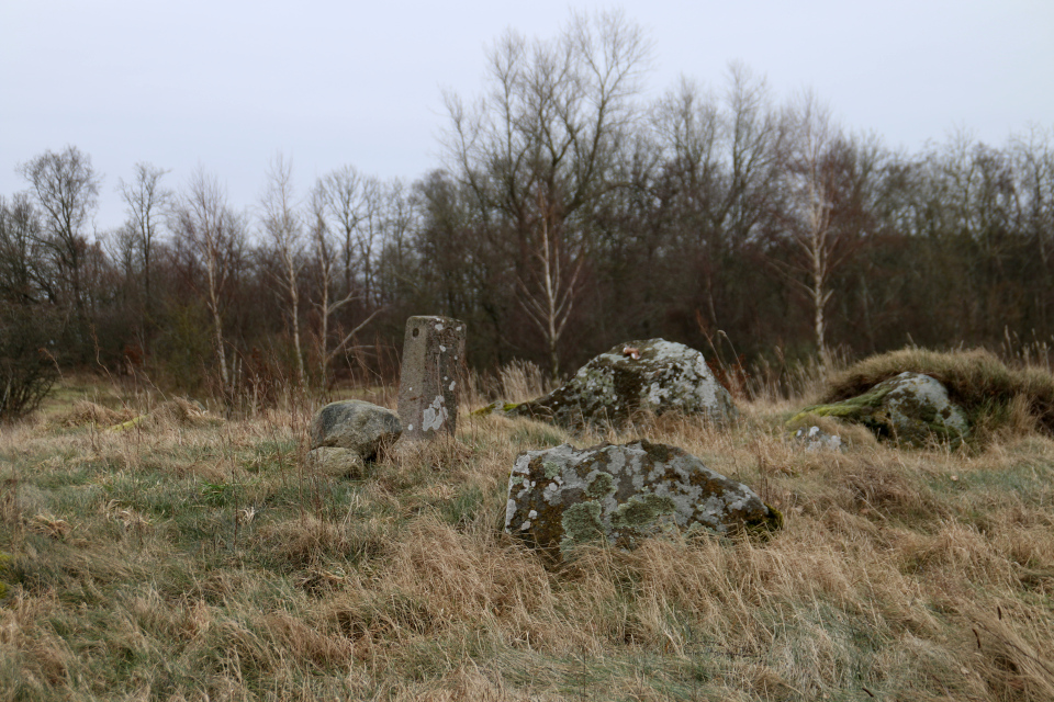 FM. Круглый дольмен, Колинд, Дания. 24 фев. 2021