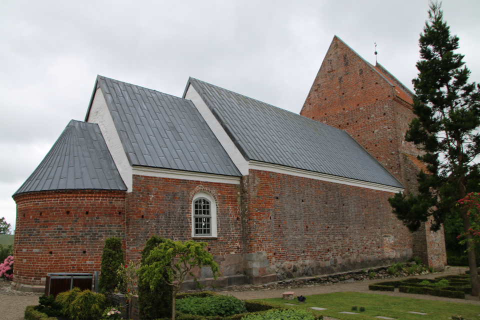 Криптомерия. Церковь Марии Магдалины (Marie Magdalene Kirke), Дания. 2 июн. 2022