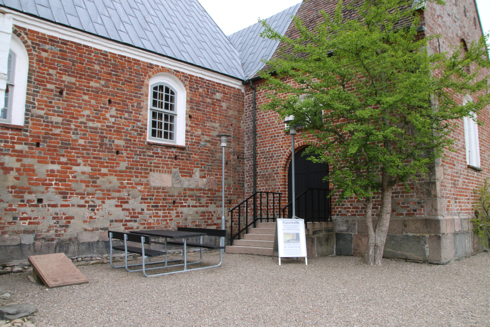 Гинкго билоба (дат. Tempeltræ, лат. Ginkgo biloba)Гинкго билоба. Церковь Марии Магдалины (Marie Magdalene Kirke), Дания. 2 июн. 2022 Гинкго билоба (дат. Tempeltræ, лат. Ginkgo biloba). Церковь Марии Магдалины (Marie Magdalene Kirke), Дания. 2 июн. 2022