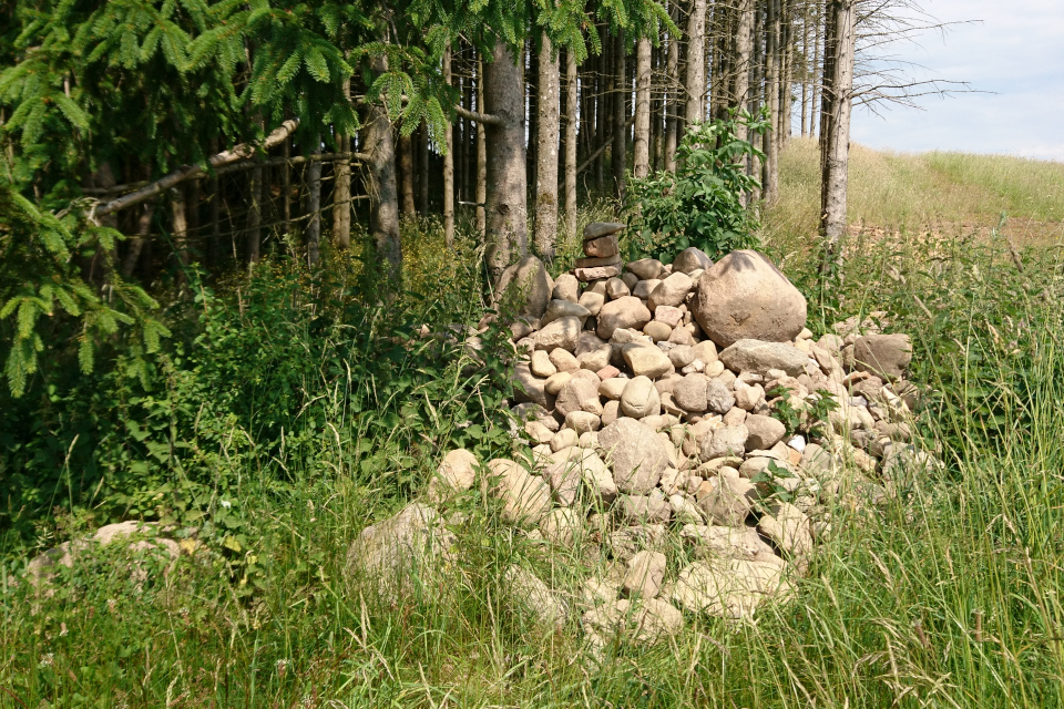 Сейд, каменные пирамидки. Природа Гаммель Рю (Gammel Rye), Дания. 26 июня 2022