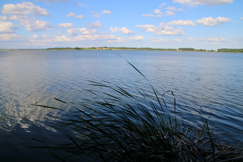 Озеро Арресё (Arresø), Фредериксверк, Дания. 2 июля 2022