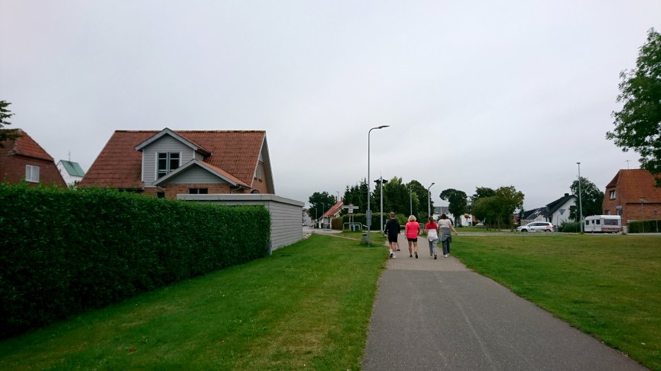 Планетная дорожка. Хэрвайн в Орс (Hærvejen Aars), Дания. 18 авг. 2022
