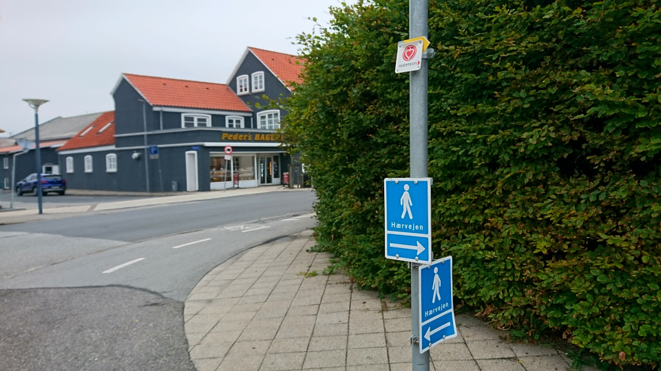 Banegårdsvej. Хэрвайн в Орс (Hærvejen Aars), Дания. 18 авг. 2022