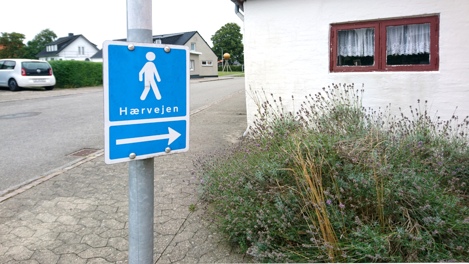 Планетная дорожка. .Хэрвайн в Орс (Hærvejen Aars), Дания. 18 авг. 2022