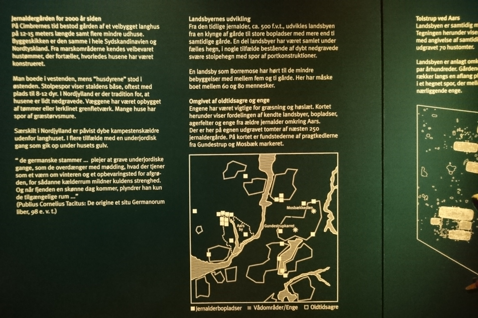 Поселения железного века. Борремосе - выставка в музее Орс, Дания. 9 июня 2022