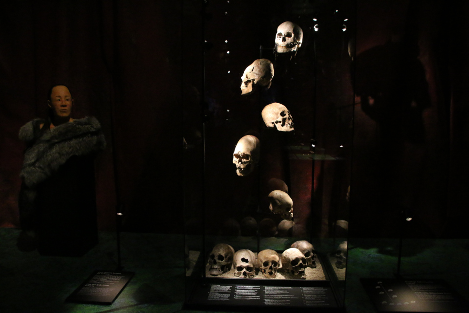 Искусственная деформация черепа. Гунны, выставка "Вперед из хаоса", музей Мосгорд, г. Орхус, Дания. 12 ноября 2022 
