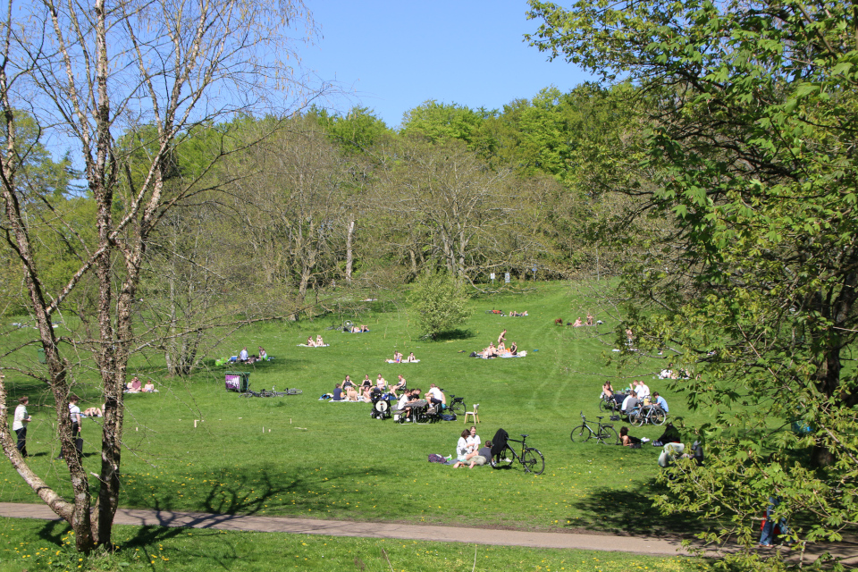 Ботанический сад Орхус 12 мая 2023, Дания 