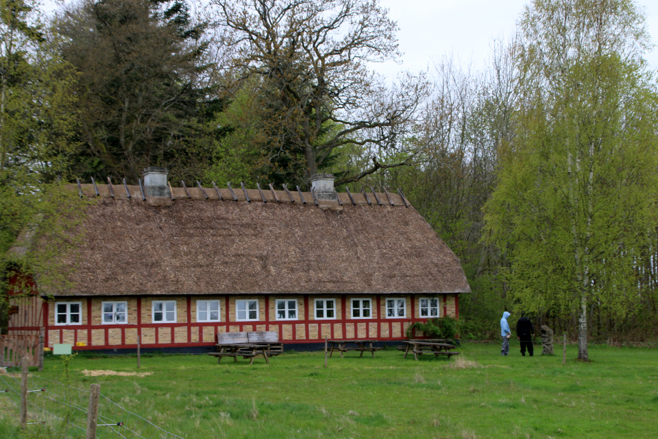 Naturskolen. Лес Трельде-Нэс, Фредерисия, Дания. 6 мая 2023 