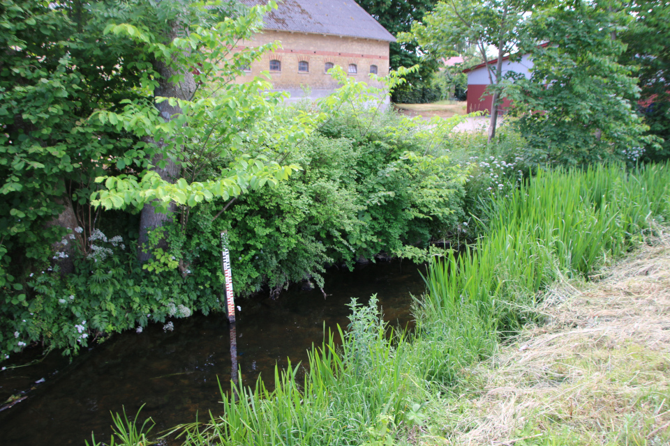 Речка Гибер, Giberå. Фульден (Fulden), Дания. 25 июня 2023
