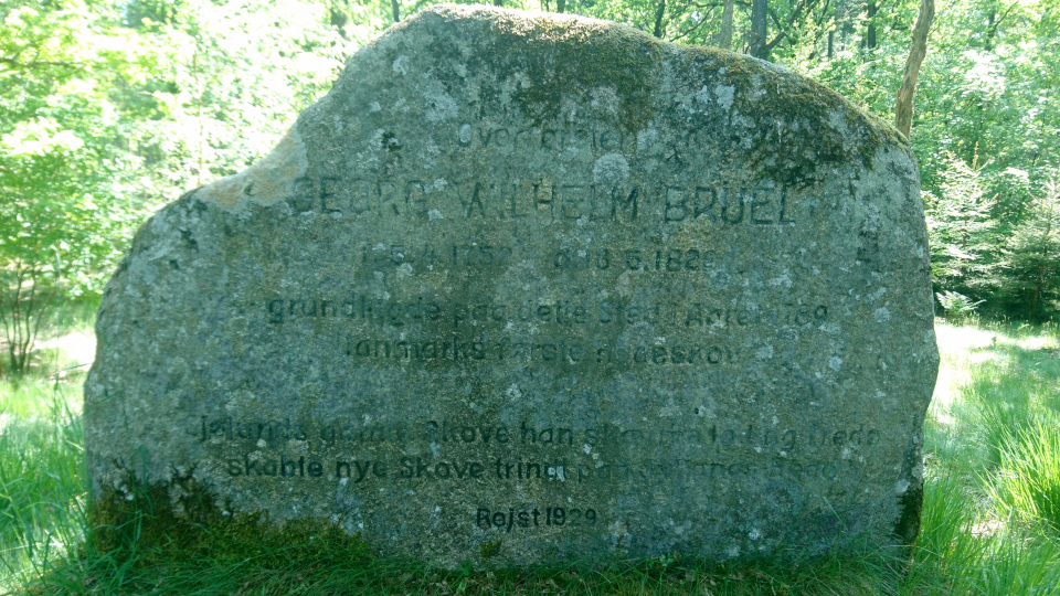 Памятный камень. Stendal Plantage, Кйеллеруп, Дания. 4 июня 2023 
