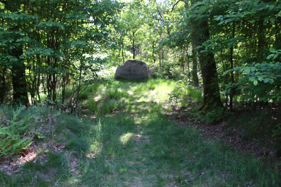 Памятный камень. Stendal Plantage, Кйеллеруп, Дания. 4 июня 2023 