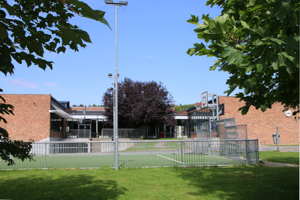 Sødal skolen, Бук лесной Пурпуреа (дат. Blodbøg, лат. Fagus sylvatica f. purpurea) с круглой кроной