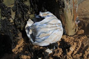 Photo: Ceramic bowls