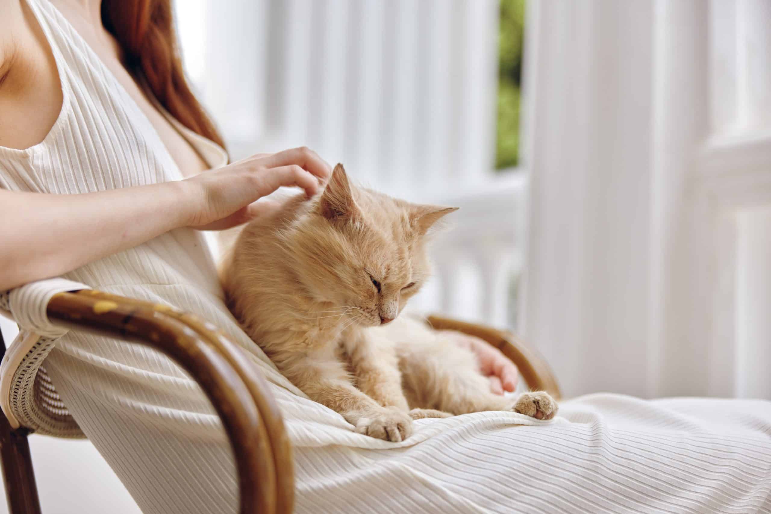 woman-in-white-dress-together-with-the-cat-on-the-2023-11-27-04-59-56-utc-scaled.jpg