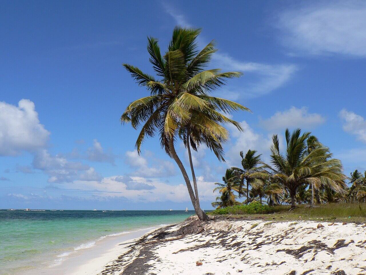 Karibischer Strand