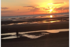 Friends-of-Crosby-Beach