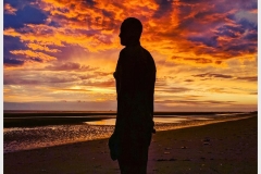 Friends-of-Crosby-Beach