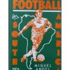 International Football in South America - 1901-1991