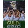 Guld og grønne skove - Historien om Viborg HK 1987-2012