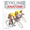 Cykelrytterens guide til styrke, smidighed og kondition