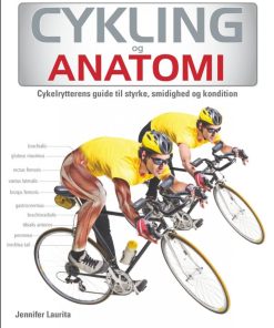 Cykelrytterens guide til styrke, smidighed og kondition