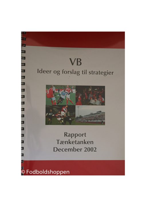 VB - Ideer og forslag til strategier 2002