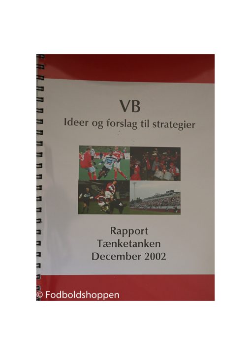 VB - Ideer og forslag til strategier 2002
