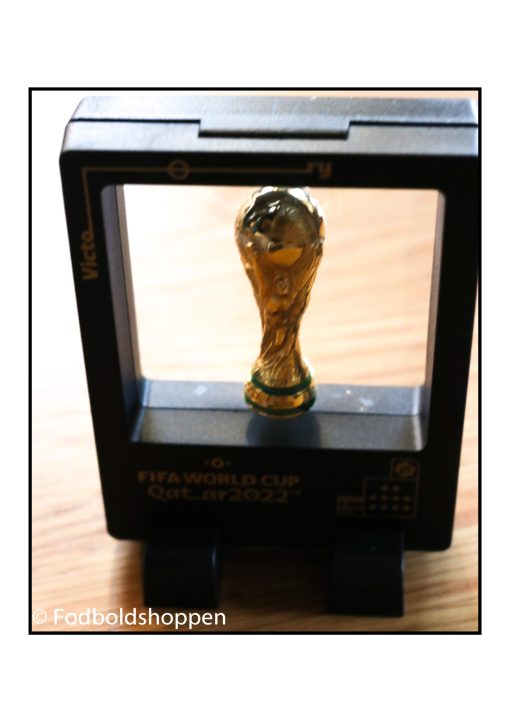 FIFA VM Pokal i ramme