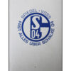 Fast alles über Schalke 04