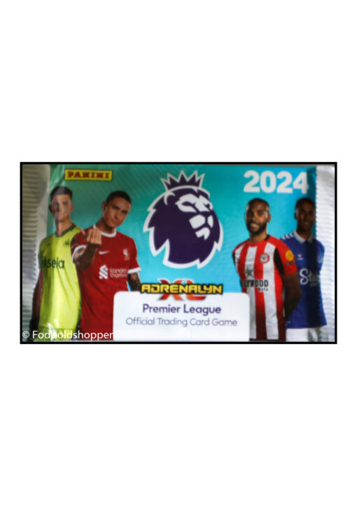 Panini Kort - Premier League 2024