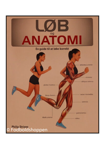 Løb og anatomi