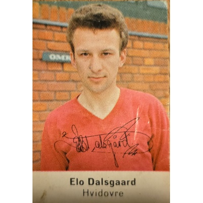 Høegh Mærke Elo Dalsgaard
