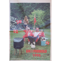 Midtjyllands Avis - Guide til Em 1996