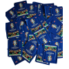 25 pakker EURO 2024 stickers TOPPS