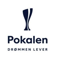 Pokal finale