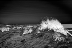 Dunes © Ann Bonte