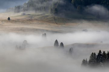 Ochtendmist op Alpenweide © Steven Warmoes